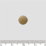 ファンケル大人のカロリミット90日分徳用3袋セット<(30日分・120粒)×3袋>