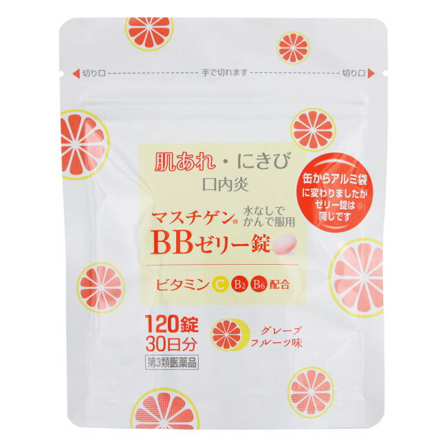 マスチゲンBBゼリー錠 パウチ 30日分 (120錠) 日本臓器製薬【第3類医薬品】