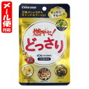 【メール便05】燃ヤセ! どっさり 約20日分 (40粒入) マルマン