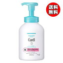 【送料無料】キュレル 泡ボディウォッシュ ポンプ 480mL 花王 (送料無料は沖縄・離島を除く)