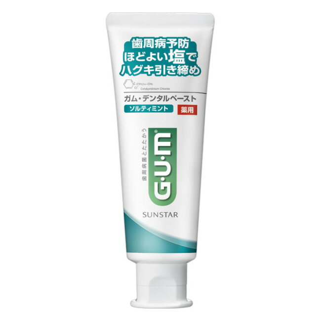 ガム デンタルペースト ソルティミント (150g) サンスター GUM