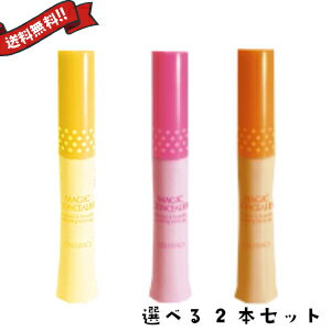 【お買い物マラソン！ポイント6倍！】カリプソ マジックコンシーラー 6g 2本セット