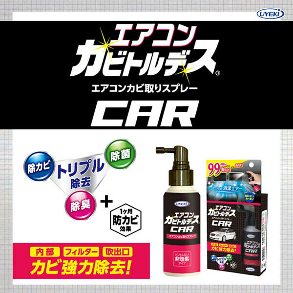 エアコン クリーナー スプレー エアコンカビトルデス車用 80mL 5本セット 送料無料