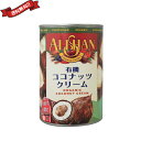 ココナッツクリーム ココナッツミルク 乳製品 豆乳 アレルギー アリサン 有機ココナッツクリーム 400ml