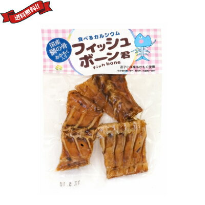 【BF限定!100円クーポン!学割2倍!】食べるカルシウム フィッシュボーン君 35g
