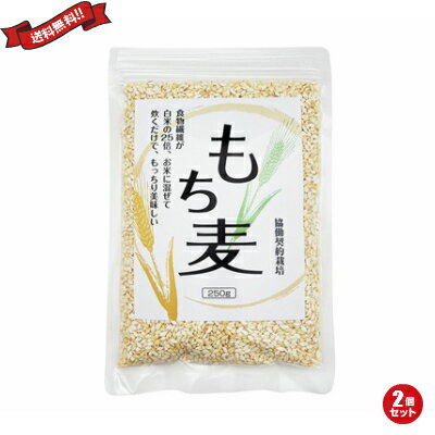 【マラソン限定!ポイント2倍!100円クーポン!】もち麦 250g 2個セット
