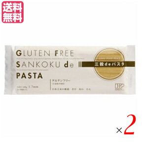 【4/25(木)限定！楽天カードでポイント6倍！】グルテンフリー パスタ マクロビ 創健社 三穀deパスタ 180g 2袋セット