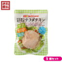 サラダチキン 国産 ウチノ サラダチキン(プレーン) 100g 5個セット