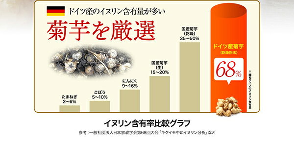 サプリ 5個セット 送料無料 その他 最大32 5倍 菊芋 イヌリン 送料無料ダイエット 健康 サプリメント キクイモ 前田の菊芋 前田の菊芋 5個セット ポイント6倍 最大300円クーポン配布中 菊芋 キクイモ サプリ 500粒 送料無料 健康ショップ メガヘルス