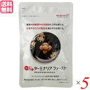 ターミナリアファースト プロフェッショナル3(スリー)120粒 機能性...(4)