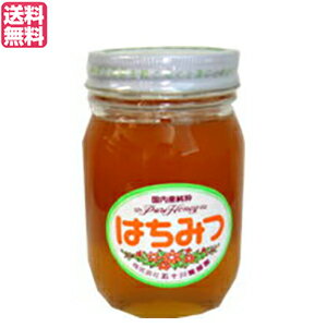 はちみつ 蜂蜜 国産 五十川養蜂園 国産はちみつ 混花 500g 送料無料 はちみつ 蜂蜜 国産 五十川養蜂園 国産はちみつ 混花 500g 送料無料