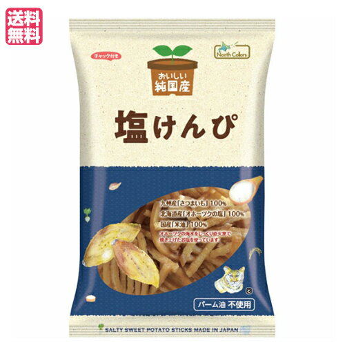 塩けんぴ 芋けんぴ かりんとう おいしい純国産 塩けんぴ 110g ノースカラーズ 送料無料