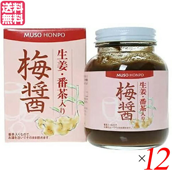 梅醤 梅びしお 梅醤番茶 ムソー 無双本舗 生姜 番茶入り梅醤 250g 12個セット 送料無料