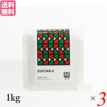 コーヒー 豆 珈琲 オニバスコーヒー グアテマラ ベンタナ グランデ 1kg 3袋セット 送料無料