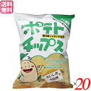 ポテトチップス 無添加 うすしお 創健社 ポテトチップス うす塩味 60g 20袋セット 送料無料