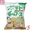 【5/10(土)限定!楽天カード利用でポイント9倍!】ポテトチップス うすしお 創健社 ポテトチップス うす塩味 60g 5袋セット 送料無料