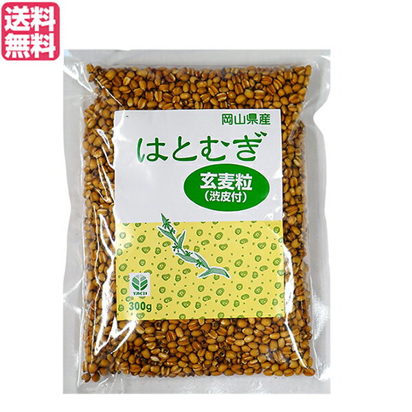 はと麦 はとむぎ 玄麦粒渋皮付 300g TAC21 送料無料