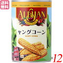 【お買い物マラソン！ポイント5倍！】ヤングコーン 缶詰 水煮 アリサン ヤングコーン缶400g 12個セット 送料無料