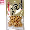 【4/18(木)限定！ポイント最大4倍！】ナッツ カシューナッツ おつまみ 池田食品 匠の味焼カシュー 85g 送料無料