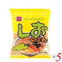 ラーメン インスタント 袋麺 健康フーズ しおラーメン 100g 5袋セット(4)