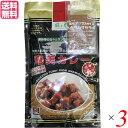 カレー カレールー レトルト 風と光 奄美カレー 中辛 180g 3袋セット 送料無料(4)