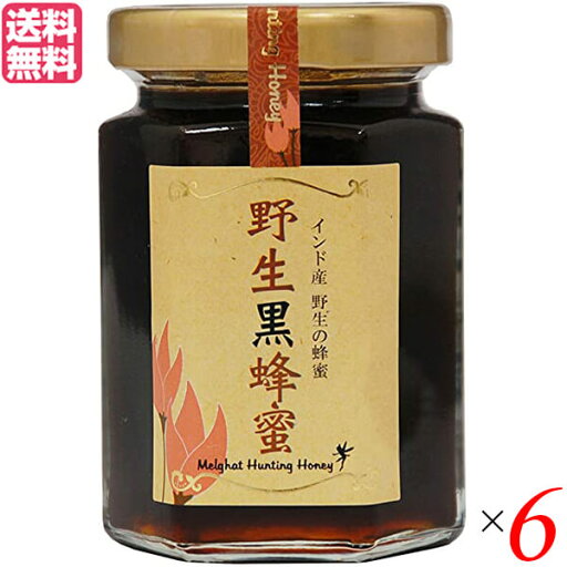 ハチミツ はちみつ ギフト シタァール 野生黒蜂蜜 180g 6個セット 送料無料 ハチミツ はちみつ ギフト シタァール 野生黒蜂蜜 180g 6個セット 送料無料