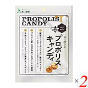 あめ・キャンディ はちみつ プロポリス 飴 コーボンのプロポリスキャンディ 28g 2個セット 送料無料