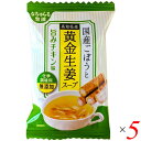 【4/30(水)限定!楽天カード利用でポイント8倍!】フリーズドライ スープ 即席スープ 国産ごぼうと高知県産黄金生姜スープ 旨みチキン味 9g 5個セット イ...