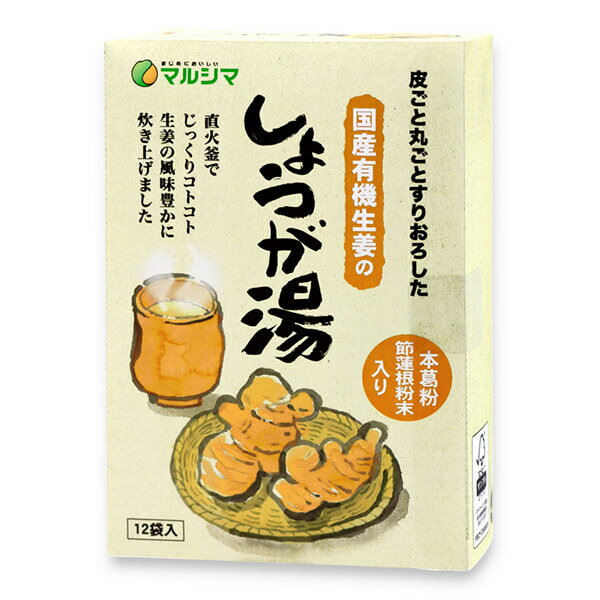 生姜湯 無添加 粉末 国産有機生姜のしょうが湯 ＜箱入＞240g(20g×12) 送料無料