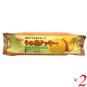 【5/10(土)限定!楽天カード利用でポイント9倍!】お菓子 クッキー ビーガン キング製菓 うの花クッキー 80g 2個セット(4)