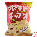 【お買い物マラソン！ポイント6倍！】ポテトチップス ポテチ コンソメ 創健社 ポテトチップス 野菜コンソメ味 60g 3個セット