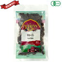 【BF限定!100円クーポン!学割2倍!】レーズン 砂糖不使用 アリサン 有機レーズン 100g