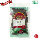 【BF限定!100円クーポン!学割2倍!】レーズン 砂糖不使用 アリサン 有機レーズン 100g 3袋セット