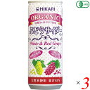 光食品 サイダー 炭酸ジュース ヒカリ オーガニックぶどうサイダー+レモン 250ml 3本セット