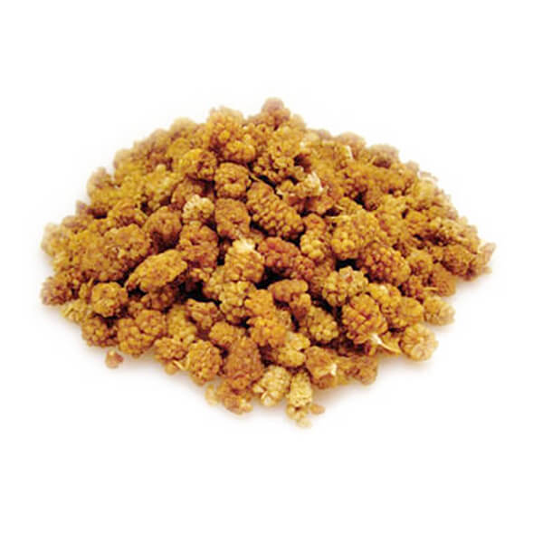 健康ショップ！メガヘルスの【BF限定！100円クーポン！学割2倍！】桑の実 ナッツ マルベリー 有機ホワイトマルベリー(桑の実）アリサン 60g 6個セット｜アングル2