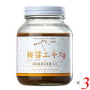 梅梅醤エキス 濃縮番茶＆生姜入り 250g 3個セット いんやん倶楽部