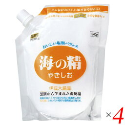 塩 天然塩 天日 海の精 やきしお（スタンドパック）540g 4個セット 送料無料