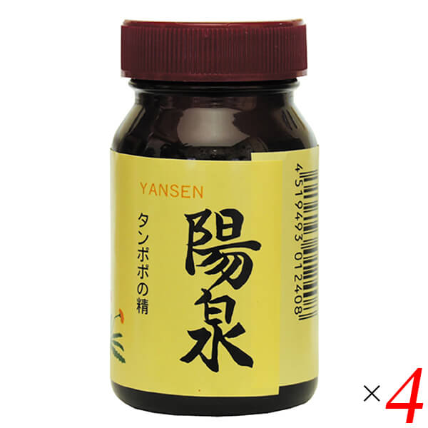 タンポポ 根 たんぽぽ茶 陽泉 100g 4個セット 日本正食品研究所 送料無料