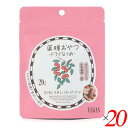 薬膳おやつ ドライなつめ 20g 20個セット ブラウンシュガーファースト ドライフルーツ ヘルシー