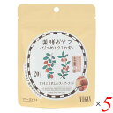 【9/10(水)限定!楽天カード利用でポイント8倍!】薬膳おやつ なつめとクコの実 20g 5個セット ブラウンシュガーファースト ヘルシー スナック 棗 ゴジ...