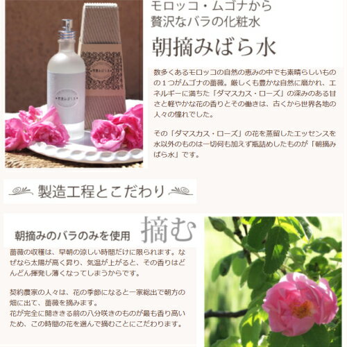 【ポイント5倍】最大29倍！ナイアード 朝摘みばら水 100ml 3個セット