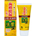 【医薬部外品】【送料無料】10個 宅配便 小林製薬 薬用 生葉EX 100g