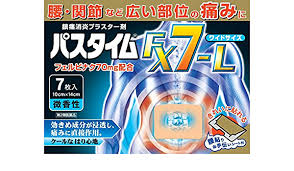 【第2類医薬品】送料無料　パスタイム　FX7-L　7枚入×2　ぱすたいむ