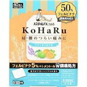 【第2類医薬品】 40枚入 3個セット ポスト便発送 パスタイム FX こはる 40枚入×3 ぱすたいむ