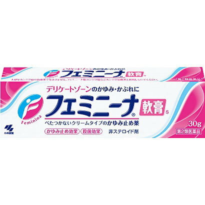 【第2類医薬品】30g　×12　送料無料　デリケートゾーンのかゆみ・かぶれに】　フェミニーナ軟膏　S　　30g×12　ふぇみにーな　フェミニーナ　軟膏