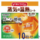 【旧タイプ特価】 10枚セット めぐりズム 蒸気の温熱シート 肌に直接貼るタイプ 花王 送料無料