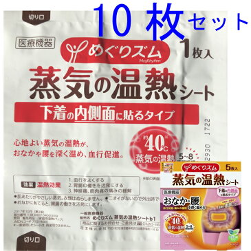 10枚セット めぐりズム 蒸気の温熱シート 下着の内側面に貼るタイプ 花王 送料無料