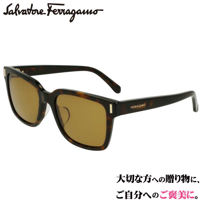 Ferragamo 󥰥饹 ե饬 SF2044SLB 242 ֥饦 ֥饦 ٤ù   ֥ ֥ɥ󥰥饹 UVå 糰å 糰к ȡե饬 Salvatore Ferragamo   ץ ץ쥼 դ  