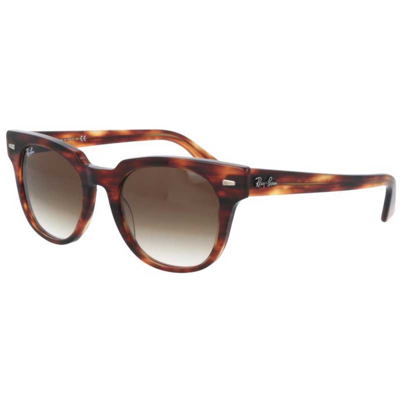 レイバン サングラス RB2168 954 51 col. 95451 50□20 METEOR meteor メテオ Ray-Ban ICONS アイコン 正規品 国内正規 Ray-Ban Made In Italy rb2168