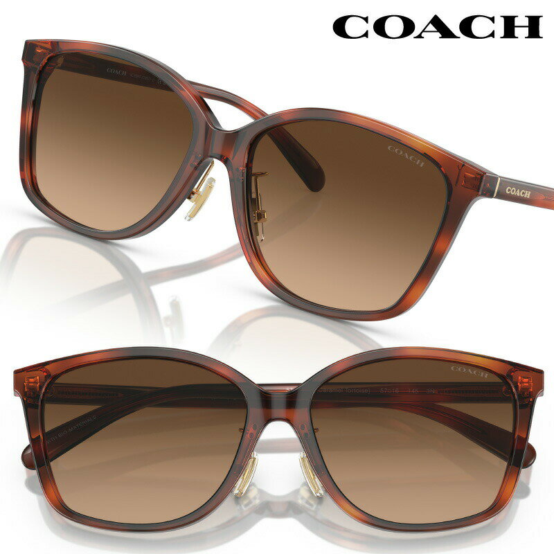 COACH コーチ サングラス 0HC8361F574174 57サイズ デミブラウン べっ甲 UVカット 紫外線カット ブランドサングラス ロゴ レディース 女性用 10代 20代 30代 40代 50代 60代 お洒落 日焼け防止 目を保護 有名ブランド プレゼント 贈り物 送料無料 正規品 イチオシ お値打ち